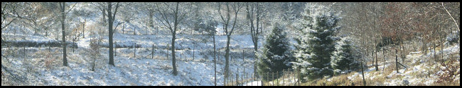 Macclesfield Forest