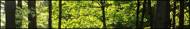 Macclesfield Forest