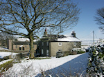 Forest Chapel in the Snow