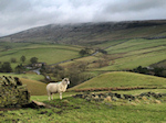 Standing Stone view towards Shining Tor