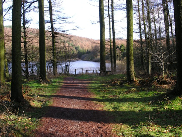Photography Gallery Macclesfield Forest